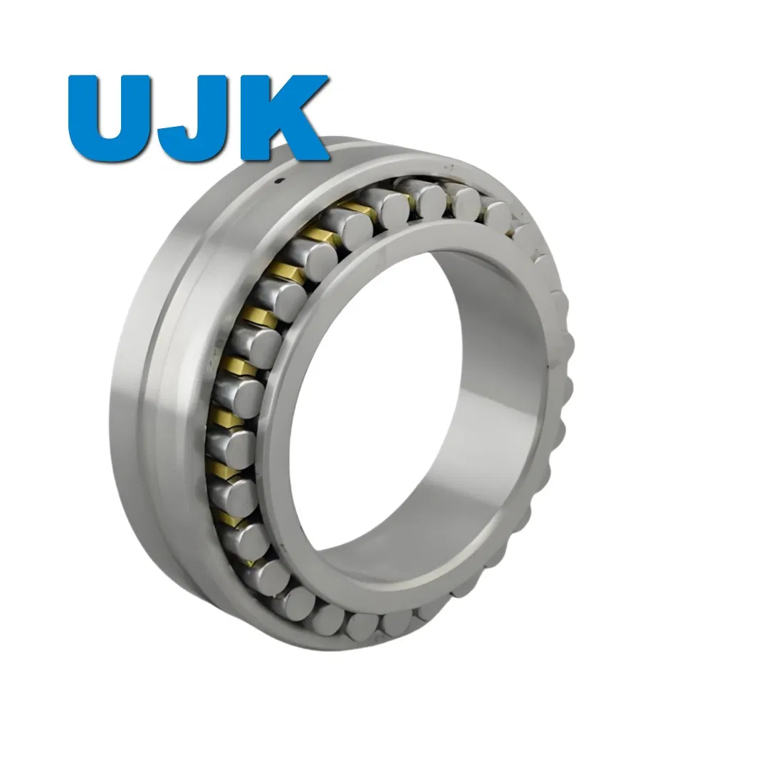Double Row Cylindrical Roller Bearings Nnu4976K/W33 Nnu4980K/W33 Nnu4984K/W33 Nnu4988K/W33 Nnu4996K/W33 pictures & photos