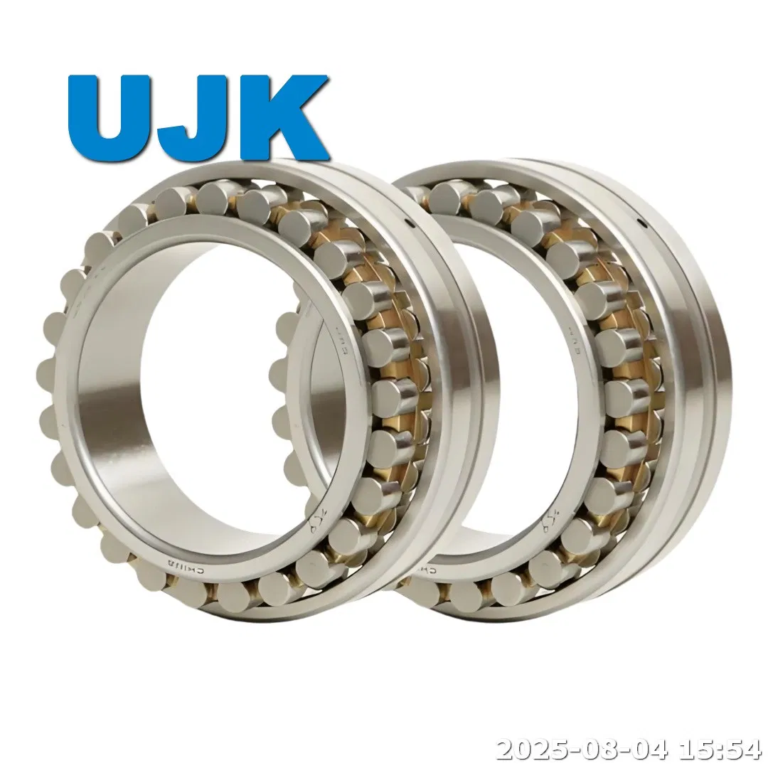 Double Row Cylindrical Roller Bearings 3182180 3182184 3182188 3182192 3182196 3182105 3182106 3182107 3182108 3182109 3182110 3182111 3182112 pictures & photos