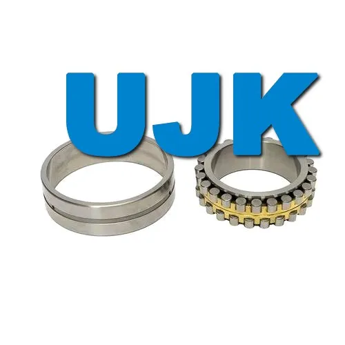 Double Row Cylindrical Roller Bearings 3282192 3282196 3182105 3182106 3182107 3182108 3182109 3182110 3182111 3182112 3182113 3182114 3182115 pictures & photos