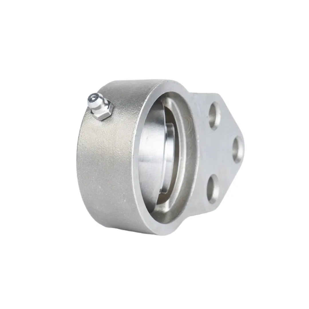 Stainless Steel Pillow Block Bearings Ssucfb201 Ucfb201-8 Ucfb202 Ucfb202-9 Ucfb202-10 Ucfb203 Ucfb203-11 Ucfb204 Ucfb204-12 Ucfb205 Ucfb205-13 Ucfb205-14 pictures & photos