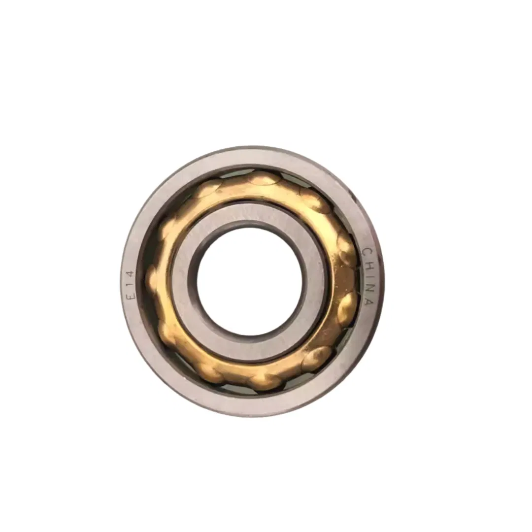 E5 En5 Magnetic Bearing Magneto Bearing with Brass Cage for Textile Spinning Mills Machine pictures & photos