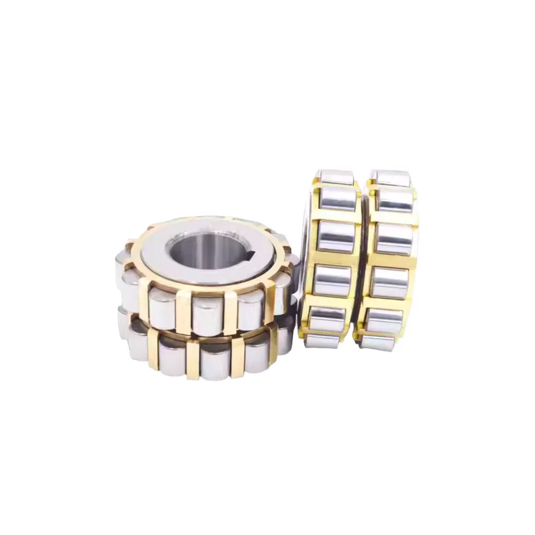 Reducer Special Integral Eccentric Bearings Cylindrical Roller Bearings 250752307K pictures & photos