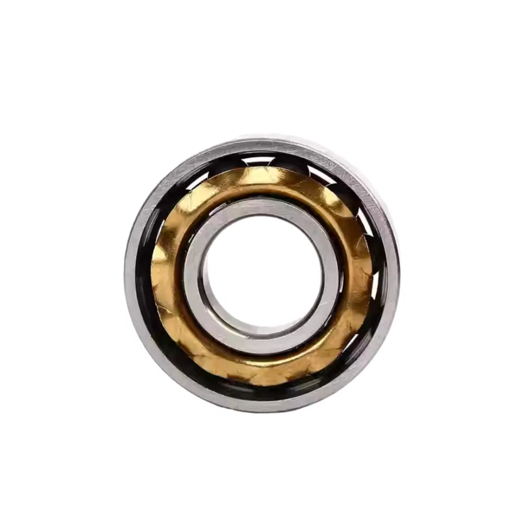 E5 En5 Magnetic Bearing Magneto Bearing with Brass Cage for Textile Spinning Mills Machine pictures & photos