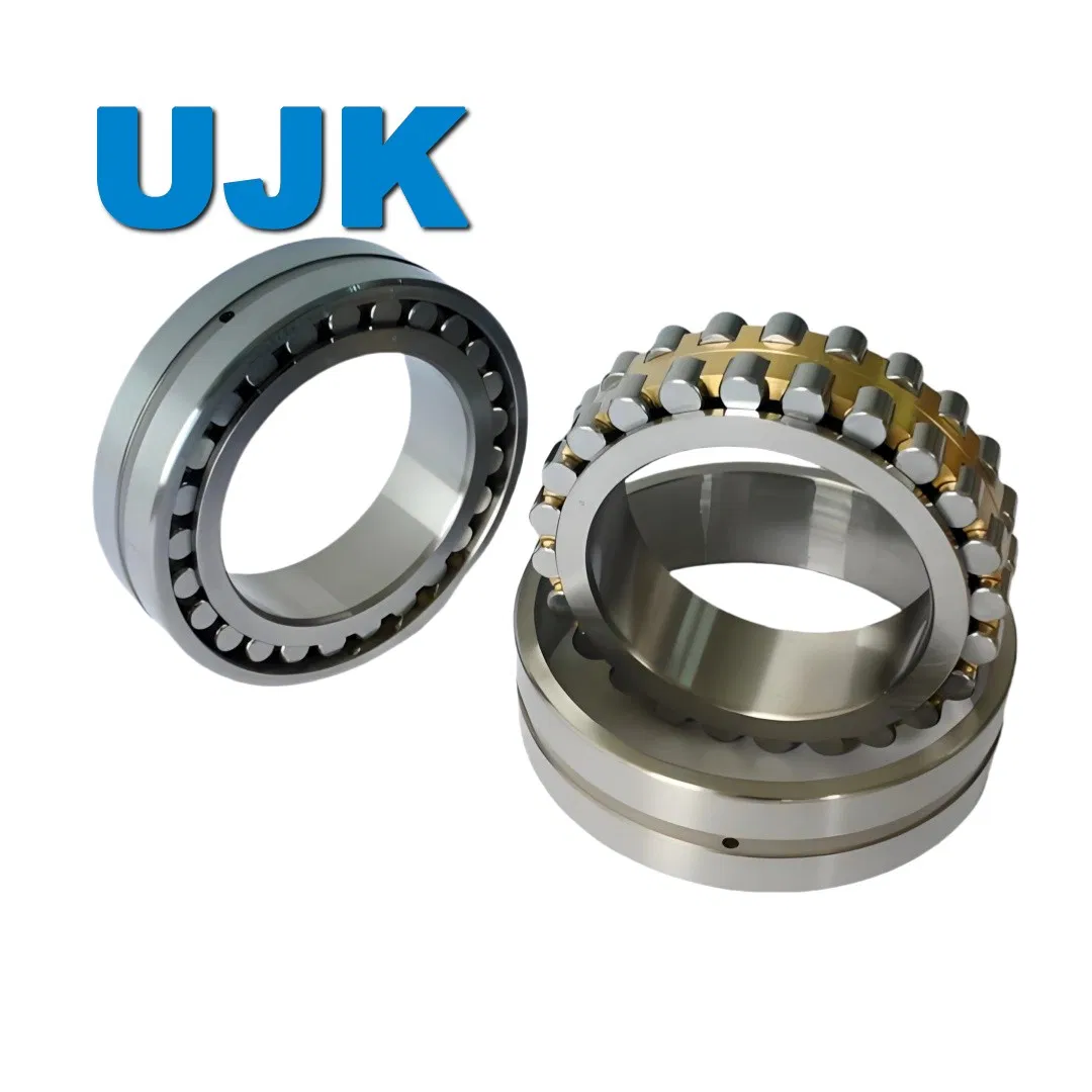 Double Row Cylindrical Roller Bearings 3282152 3282156 3282160 3282164 3282168 3282172 3282176 3282180 3282184 3282188 3282192 3282105 3282106 pictures & photos