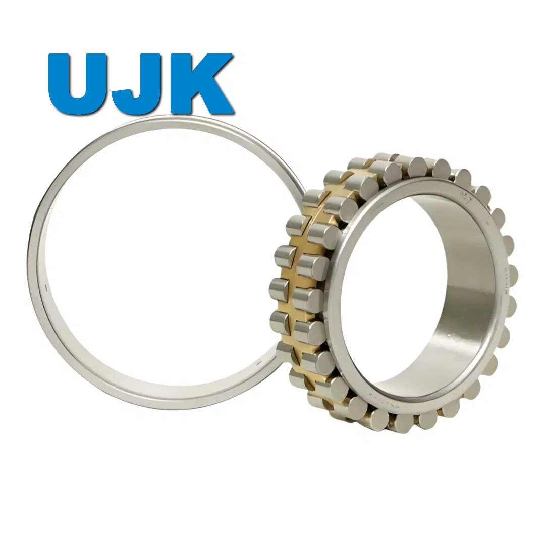 Double Row Cylindrical Roller Bearings 3182116 3182117 3182118 3182119 3182120 3182121 3182122 3182124 3182126 3182128 3182130 3182132 3182134 pictures & photos