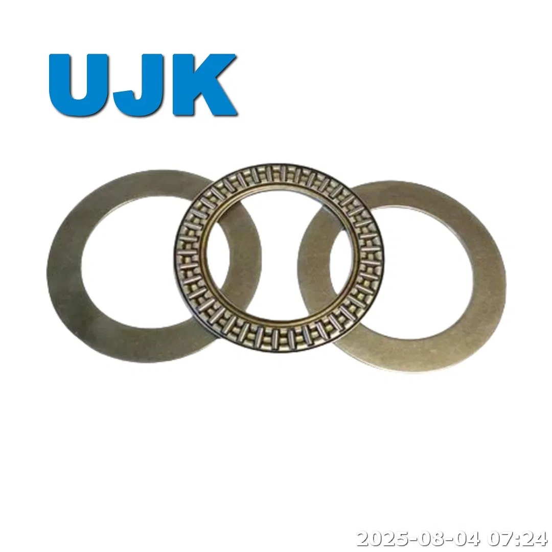 Needle Roller Thrust Bearings as 4060 as 5578 as 6590 as 7095 as 75100 Axk 2035 Axk 3552 Axw 12 Axw 35 Ls 0619 Ls 1024 Ls 1528 pictures & photos