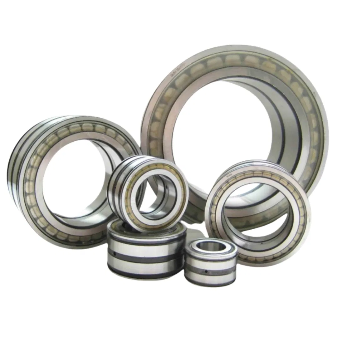High Quality Rsl18 2212 Full Complement Cylindrical Roller Bearing Rsl18 2212-Fs 19HD9 Bearing pictures & photos
