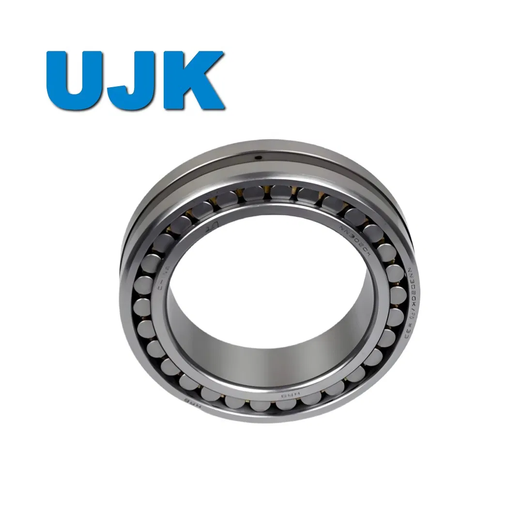 Double Row Cylindrical Roller Bearings 3282107 3282108 3282109 3282110 3282111 3282112 3282113 3282114 3282115 3282116 3282117 3282118 3282119 pictures & photos