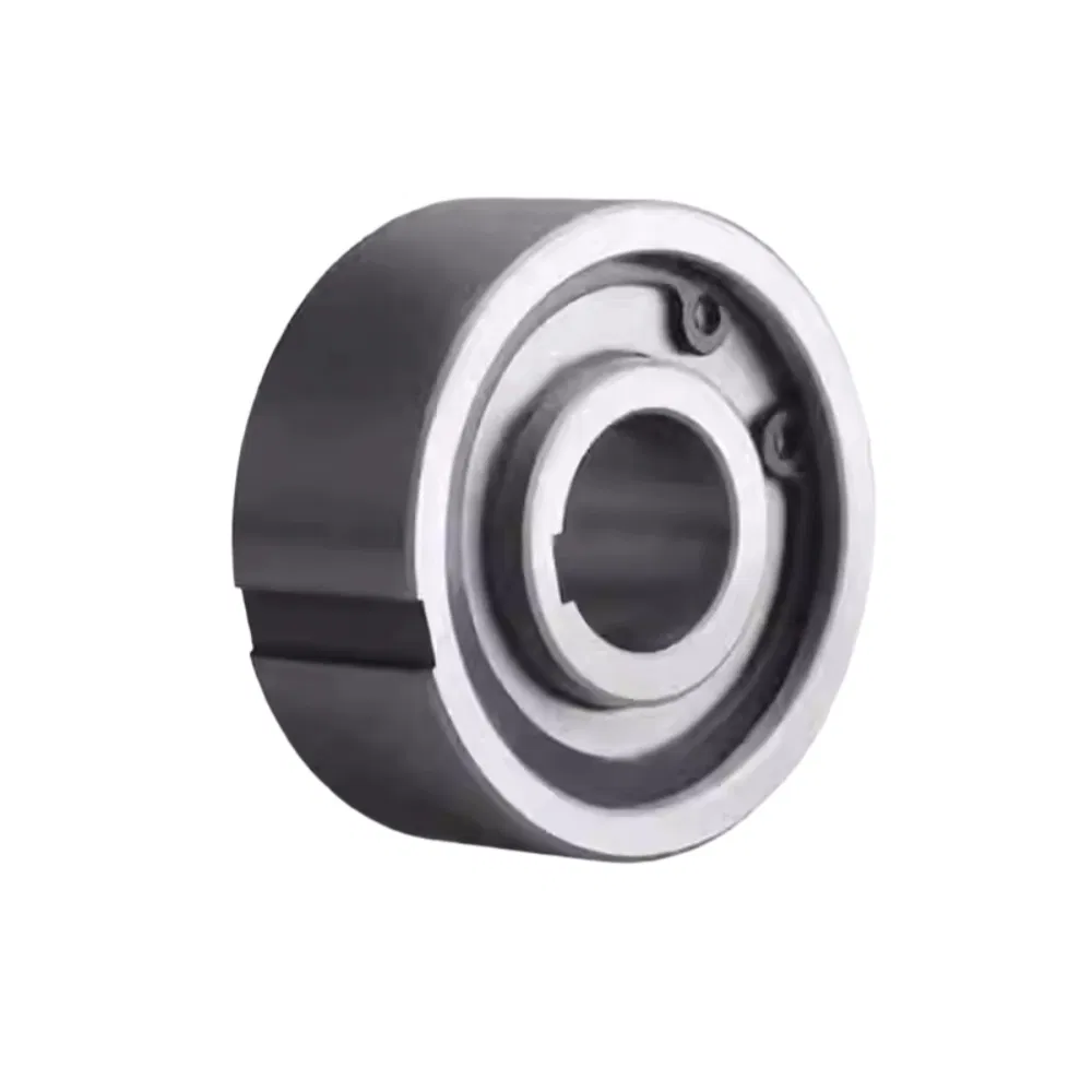 One Way Clutch Bearing Cka1542 1747 2025 2060 2562 2563 2566 pictures & photos