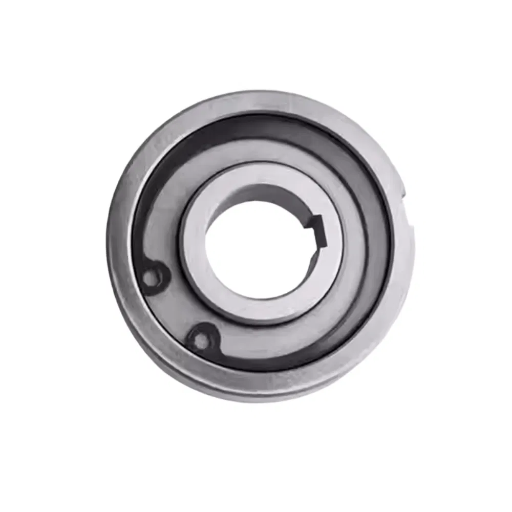 One Way Clutch Bearing B203 B204 B205 B206 B207 B208 B209 B210 B211 B212 B213 B214 pictures & photos