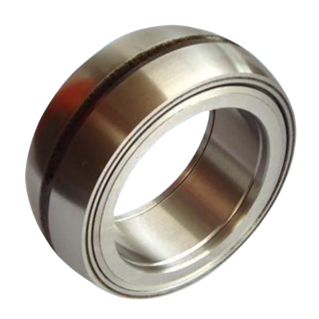 Nnf 5013adb-2lsv Full Complement Cylindrical Roller Bearings SL045013-PP-2nr Nnf5013-2ls-V-2nr pictures & photos