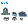 Ujk Conveyor System Bearings Kit, UCP205/UCP208 Pillow Blocks, Grease-Lubricated for Mining & Logistics