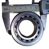 Cylindrical Roller Bearing Needle Roller Bearings Motorcycle Bearings F-113342.07 F-113282.3 F-239956.02 F-113274.01-0010 F-239956.02 F-113712 Pgdf11334207