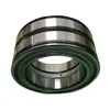 Cpm Series with No Outer Ring F-Series Gearboxes Hydraulic Pump Full Complement Cylindrical Roller Bearings Cp1.2405 Cpm2529