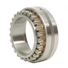 Double Row Cylindrical Roller Bearings Nnu4921 Nnu4922 Nnu4924 Nnu4926 Nnu4928 Nnu4930 Nnu4932 Nnu4934 Nnu4936 Nnu4938 Nnu4940 Nnu4944 Nnu4948