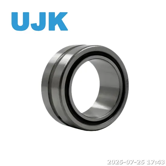 Na Rna Needle Roller Bearings Na4856 Na4860 Na4864 Na4868 Na4872 Na49/8 Na49/9 Na4900 Na4901 Na4902 Na4903 Na4904 Na49/22 pictures & photos